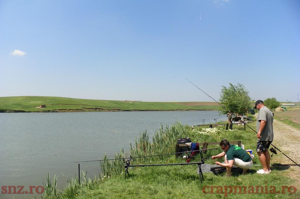 Concurs Party Cup - Sulimanu - 1010456.jpg